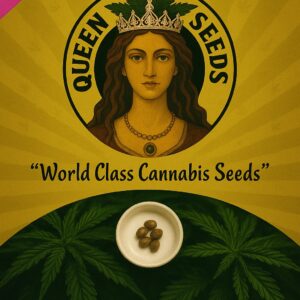 Amnesia Haze Autoflowering Marijuana Seeds