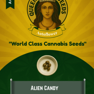 Alien Candy Autoflowering Marijuana Seeds