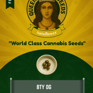 BTY OG Feminized Seeds