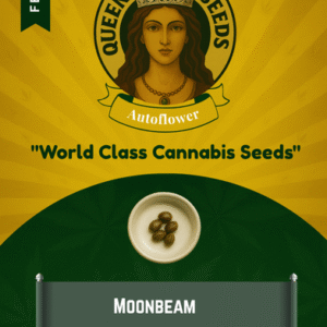 Moonbeam Feminized Seeds