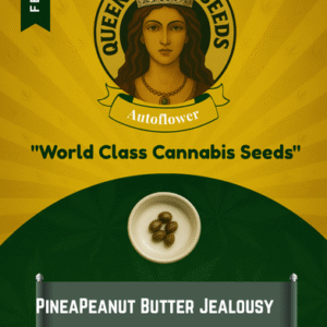 Peanut Butter Jealousy Feminized Seeds