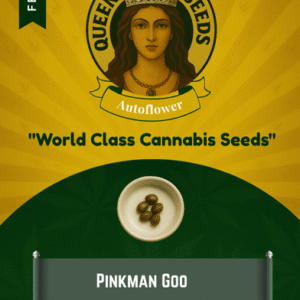 Pinkman Goo Feminized Seeds