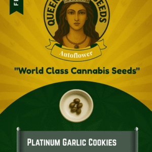 Platinum Garlic Cookies Feminized Seeds