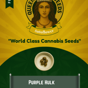 Purple Hulk Feminized Seeds