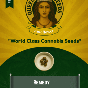 Remedy Feminized Seeds