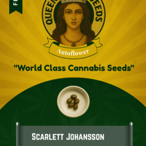 Scarlett Johansson Feminized Seeds