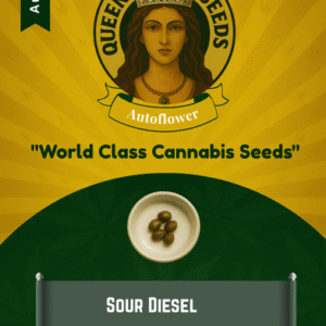 Sour Diesel Autoflower Marijuana Seeds
