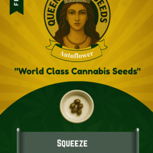 Squeeze Feminized Seeds